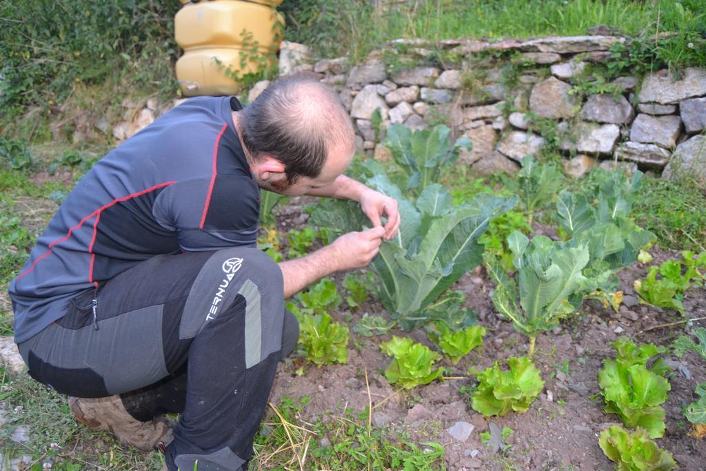 Pensjonat La Muntanya Castellar De N'Hug